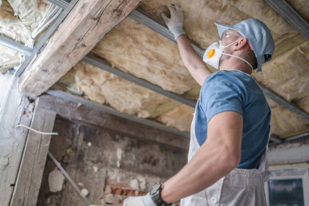 Best Cellulose Insulation in Bren Bow, OK